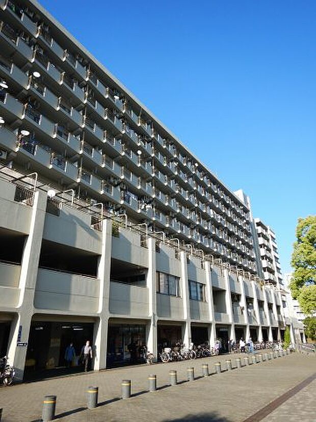 東武亀戸線 東あずま駅まで 徒歩7分(2LDK) 7階の外観