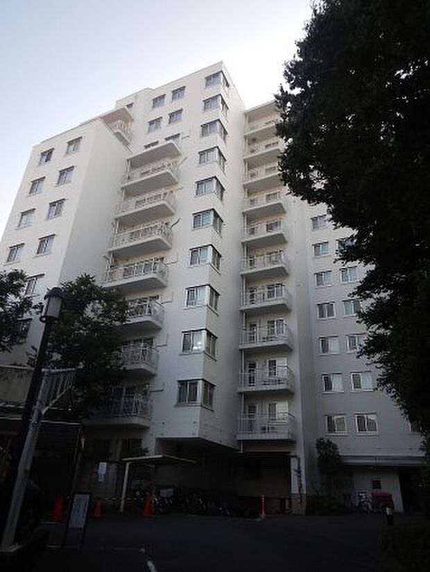 徳川マンション(3LDK) 8階の外観