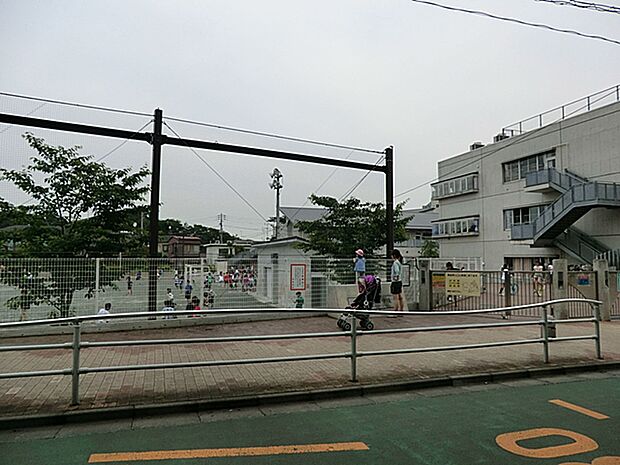 世田谷区立桜丘小学校　900ｍ