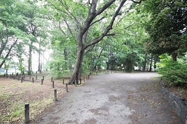 【公園】こぐれの森緑地まで577ｍ
