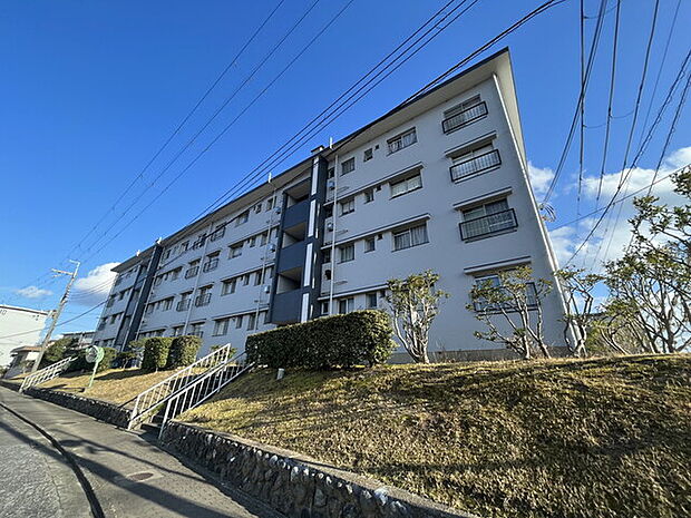 香里ヶ丘住宅1号棟(3LDK) 4階のその他画像