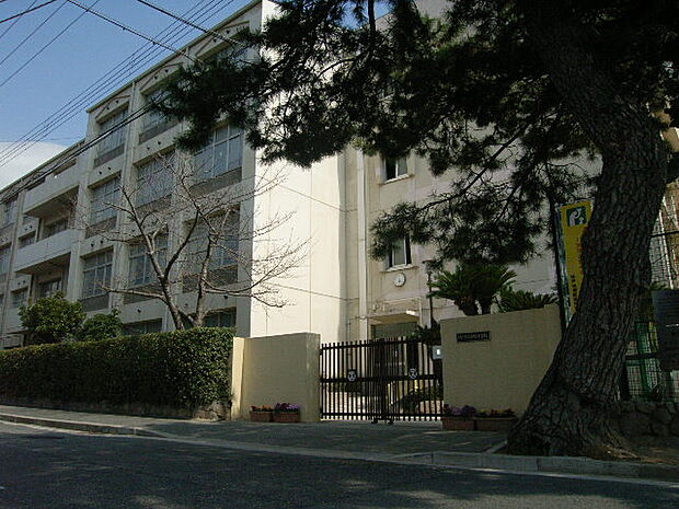 神戸市立御影中学校