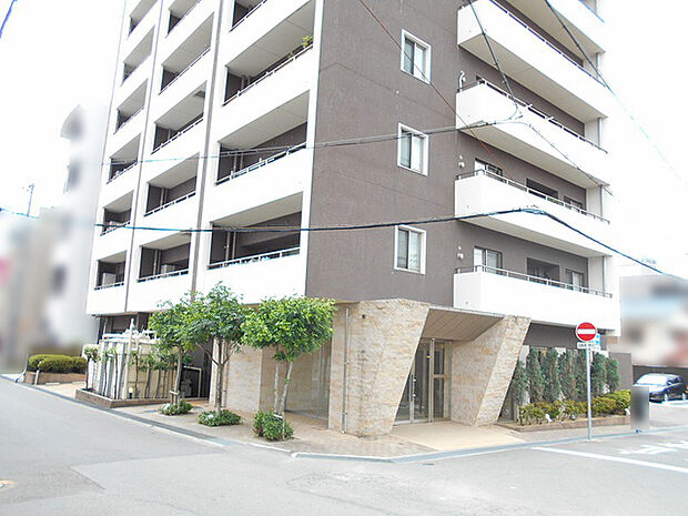 セーリオ東加古川(3LDK) 6階のその他画像