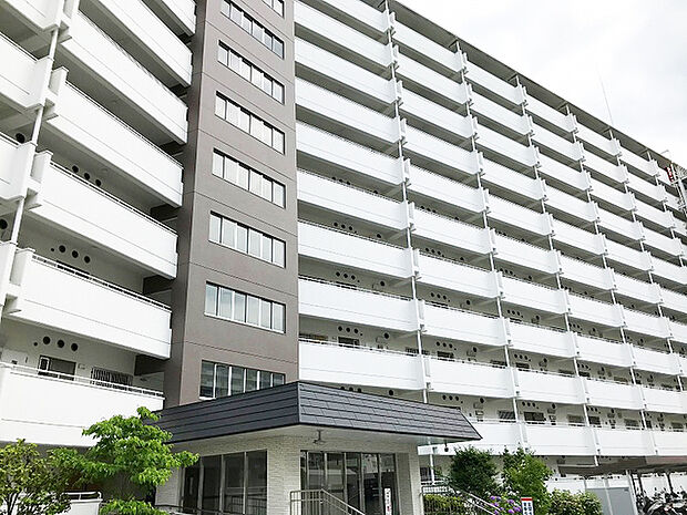 向島ニュータウン第三街区Ｃ棟(3LDK) 11階の外観