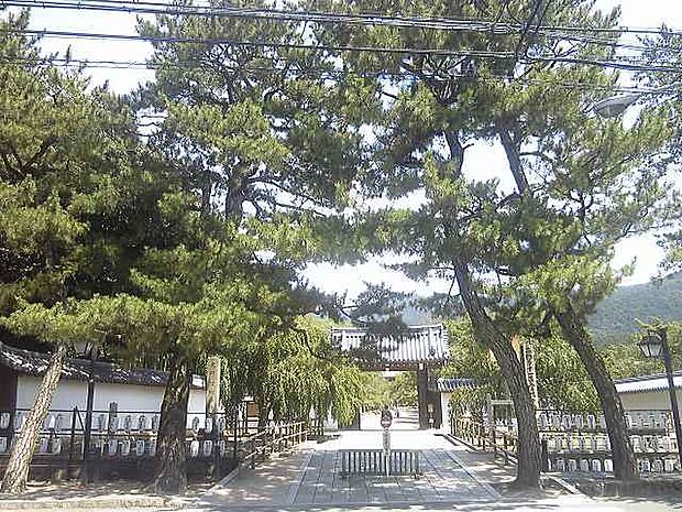 醍醐寺三宝院庭園
