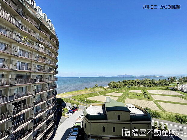 琵琶湖アーバンリゾートII番館(1LDK) 8階のその他画像
