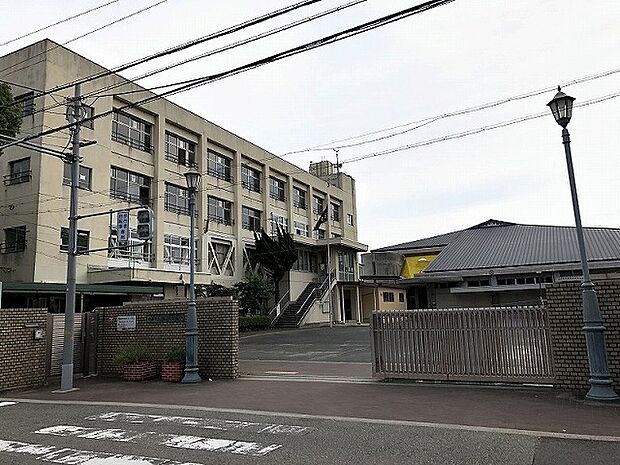 柏原市立柏原中学校