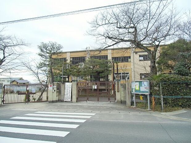 【小学校】京都市立第三錦林小学校まで300ｍ
