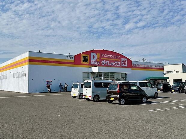 ダイレックス三条店：徒歩12分（960ｍ）