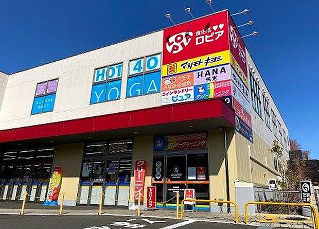 ロピア八王子みなみ野店まで約1422m