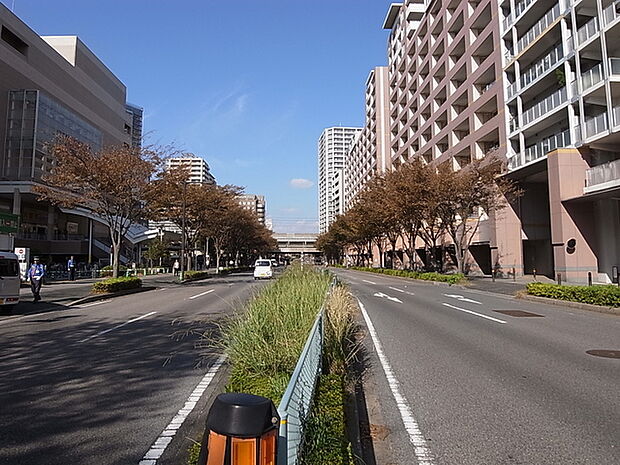 都市機能の利便性と豊かな緑に恵まれた住環境です。