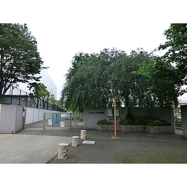 大泉学園桜中学校