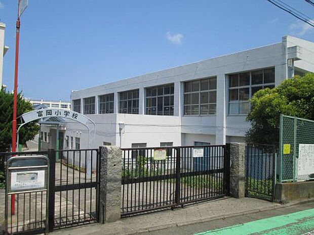 【小学校】横浜市立富岡小学校まで593ｍ