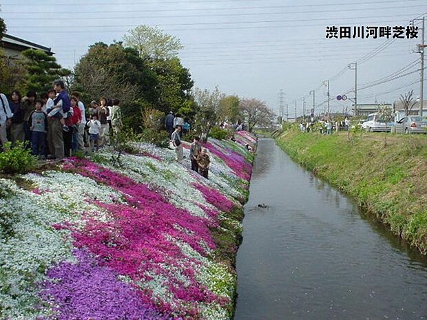 戸建　伊勢原市高森(3SLDK)のその他画像