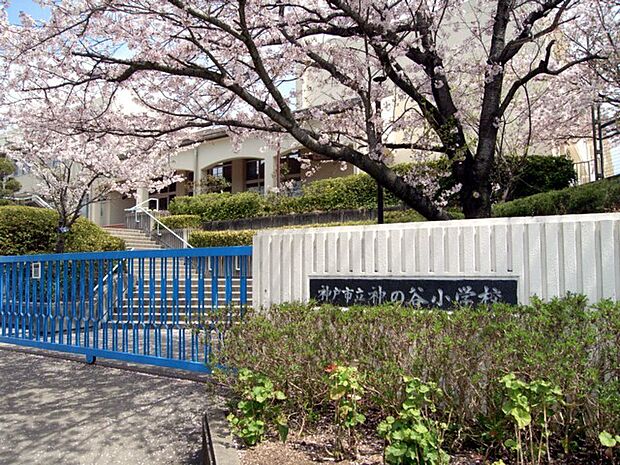 神戸市立神の谷小学校