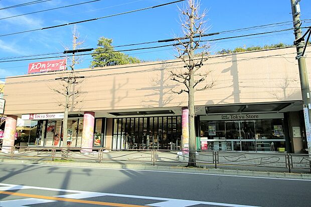 スーパー 870m 東急ストア宮前平店