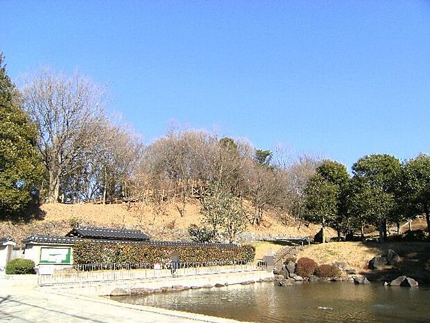 公園 220m 王禅寺ふるさと公園