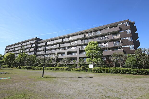 マンション前は公園です！　室内より鶴見川が望める眺望です♪