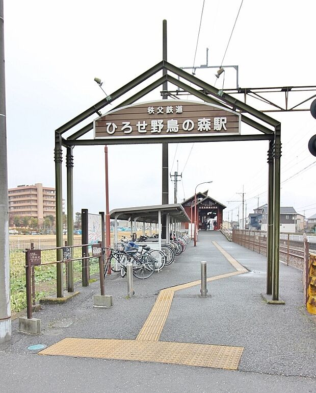 秩父鉄道　野鳥の森駅です