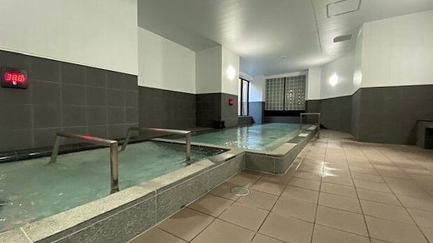 温泉大浴場：奥湯河原の名湯を存分に楽しめる。サウナと水風呂もあり、温泉好きにもおすすめ。