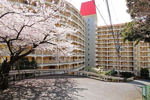桜の季節にはマンションの周辺に咲き誇ります。