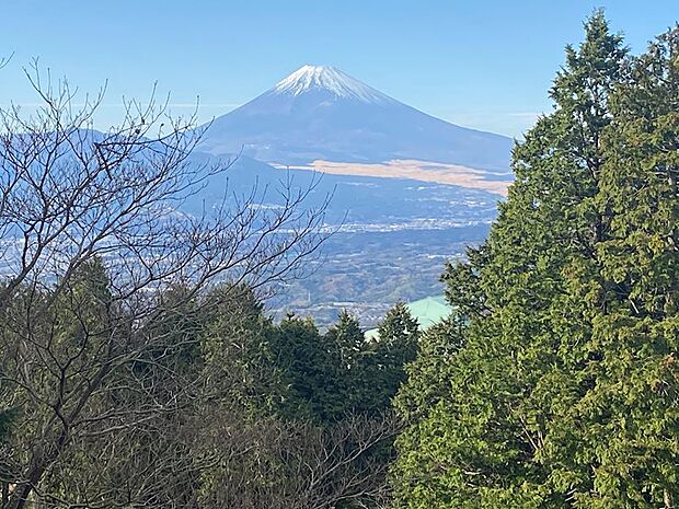 富士山を遮ることなく望めます。