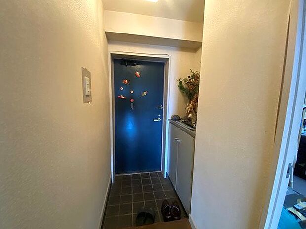 【玄関】エントランスから階段を降りて室内をご紹介致します。コンパクトな玄関です。