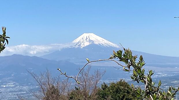 対象地から50mほど歩けばご覧の通り、富士山も一望。