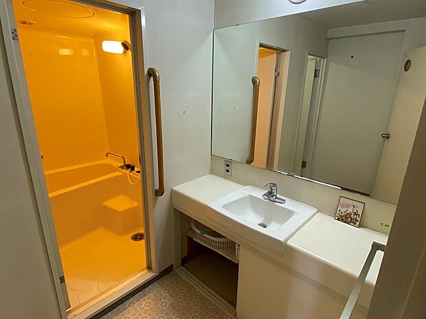 洗面室：大きな鏡もあり、身支度しやすい空間です。