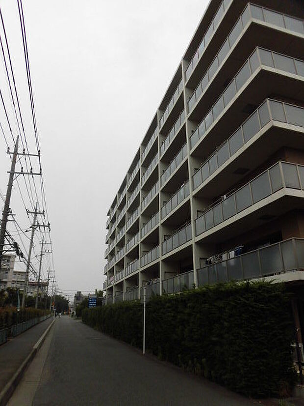 ライネスハイムひばりが丘　最上階リフォーム角住戸(3LDK) 7階のその他画像
