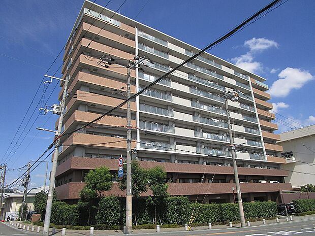 ２００９年（平成２１年）１月建築のペットと暮らせるマンションです。大阪メトロ千日前線　新深江駅まで徒歩１０分、大阪メトロ中央線　深江橋駅まで徒歩１３分です。