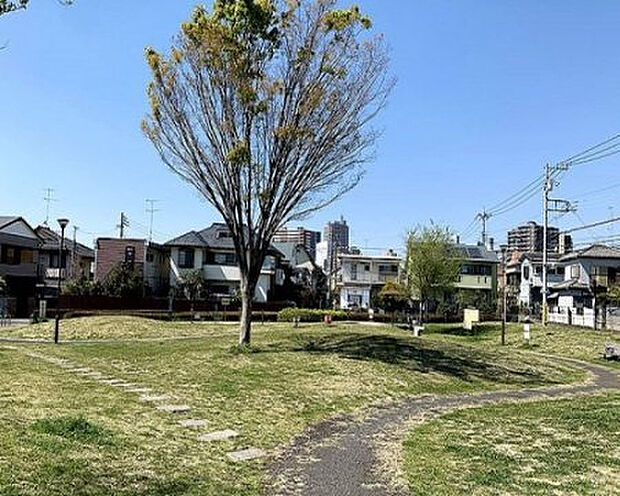 金森1丁目の住宅地の中にある、広々とした芝生の公園です。すべり台や鉄棒や砂場などの遊具があり、ベンチも設置されています。JR横浜線/町田駅徒歩19分  