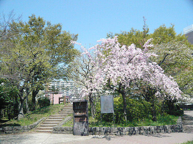 南東側至近に八潮公園があります。お散歩にも◎