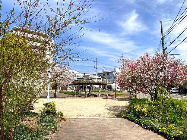 姫島浜公園…徒歩1分（マンション隣接）