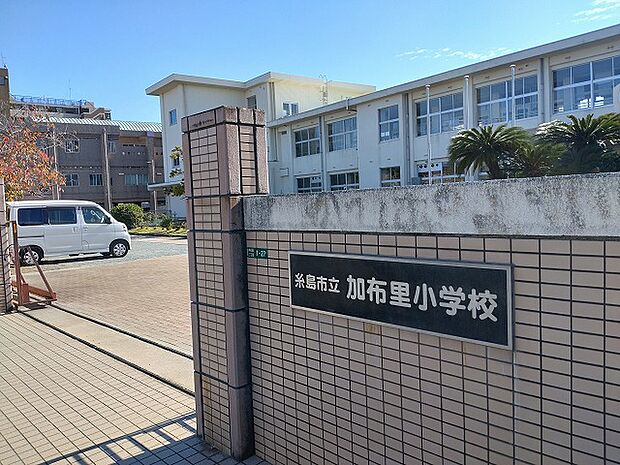 【小学校】糸島市立加布里小学校まで530ｍ