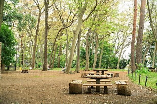 【公園】三井の森公園まで920ｍ