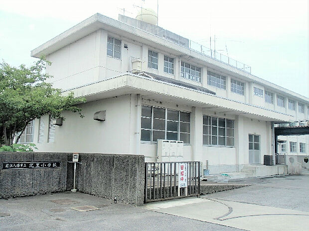 北里小学校（50m）