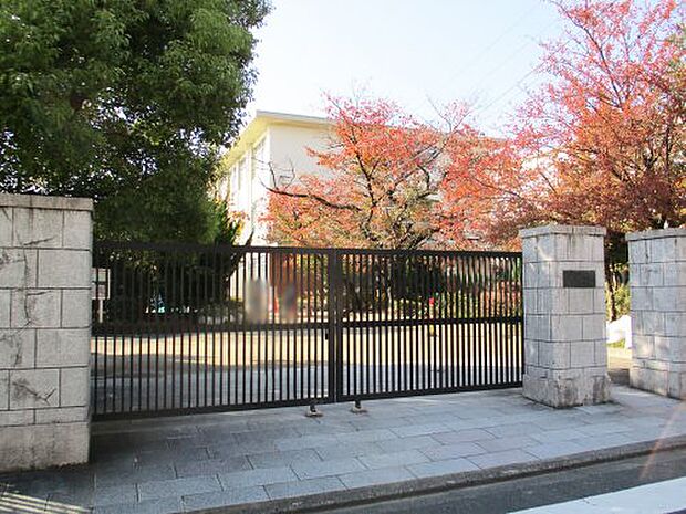 【小学校】京都市立　花園小学校まで876ｍ