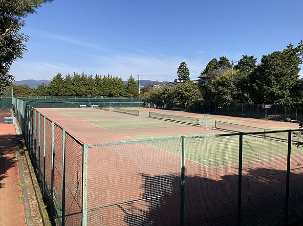 分譲地内の共用テニスコート