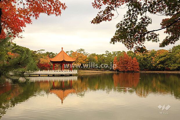 緑ケ丘公園の外観