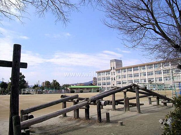 加茂小学校[公立]の外観