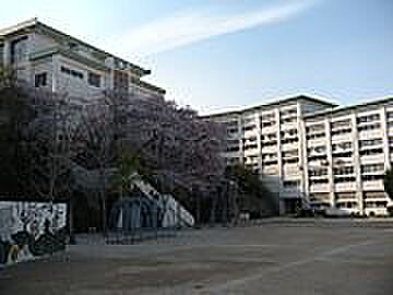 【小学校】川西市立　桜が丘小学校まで1381ｍ
