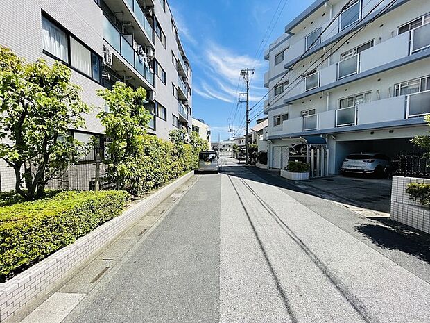 マンションに面する道路です。