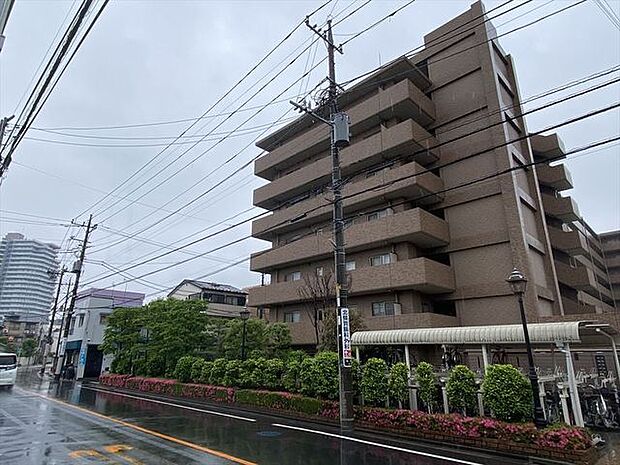 コスモ川口シティアベニュー(2LDK) 3階のその他画像