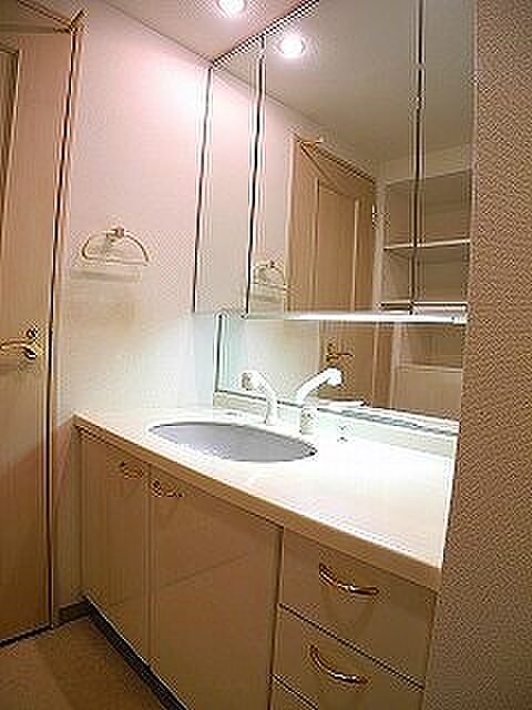 三面鏡にハンドシャワー付き、 使いやすい洗面台。 