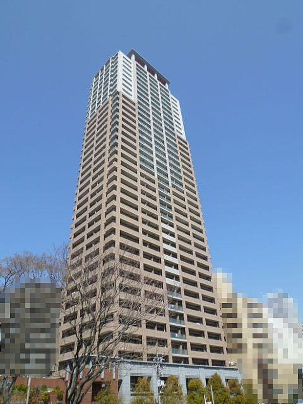 エルザグレース堀江タワー(1SLDK) 11階のその他画像