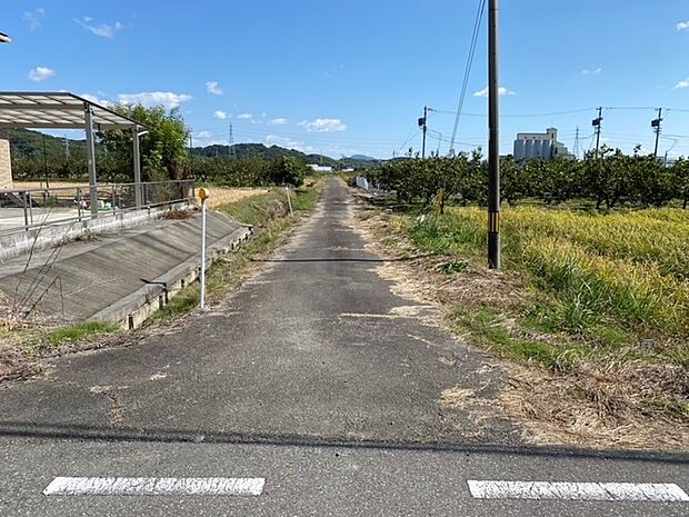 南側道路（水路を挟む）