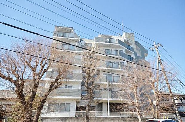 平成3年12月竣工、総戸数12戸。志木駅徒歩13分のマンションです。