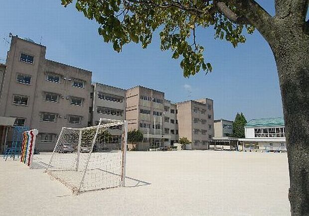 松戸市立中部小学校 徒歩5分。 400m