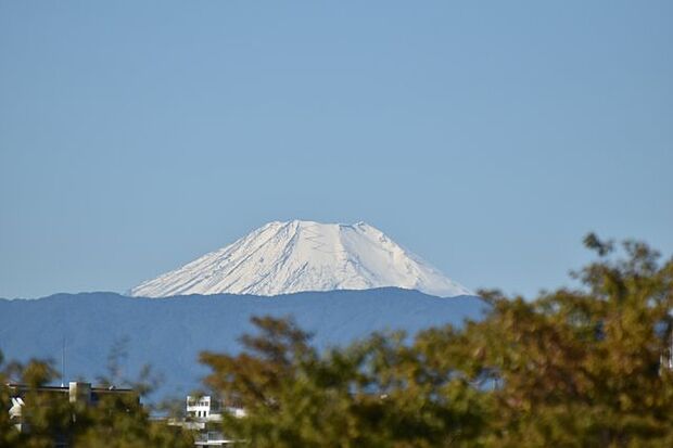 晴れて空気が澄んでいる日には富士山が眺められます。　南西側洋室約5.0帖の窓から撮影